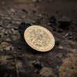 Load image into Gallery viewer, Viking Travel Coin