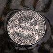 Load image into Gallery viewer, Carpe Noctem Coin - Antique Silver (back)
