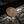 Load image into Gallery viewer, Original Carpe Diem Coin
