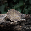 Load image into Gallery viewer, Carpe Diem Coin
