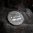 Load image into Gallery viewer, Carpe Diem Coin
