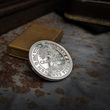 Load image into Gallery viewer, Carpe Diem Coin
